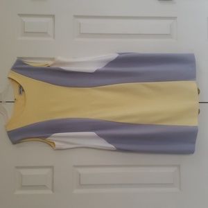 Women's Plus Size Color Block Dress Size 18W